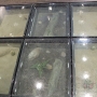 scorpionpit glassflooring through